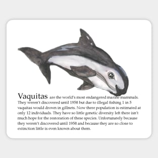 Vaquita Magnet